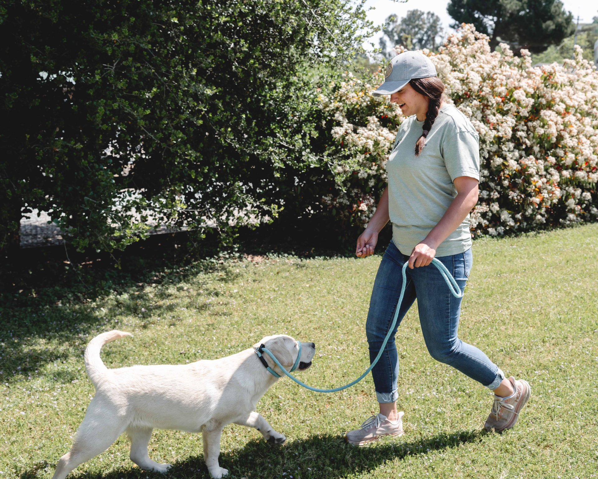 An ICA trainer walking a young puppy on leash outdoors